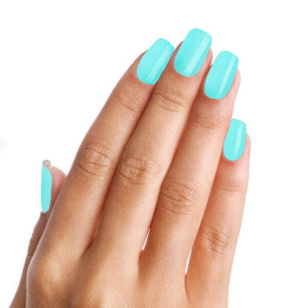 # 303 Daphne - Afbeelding 5