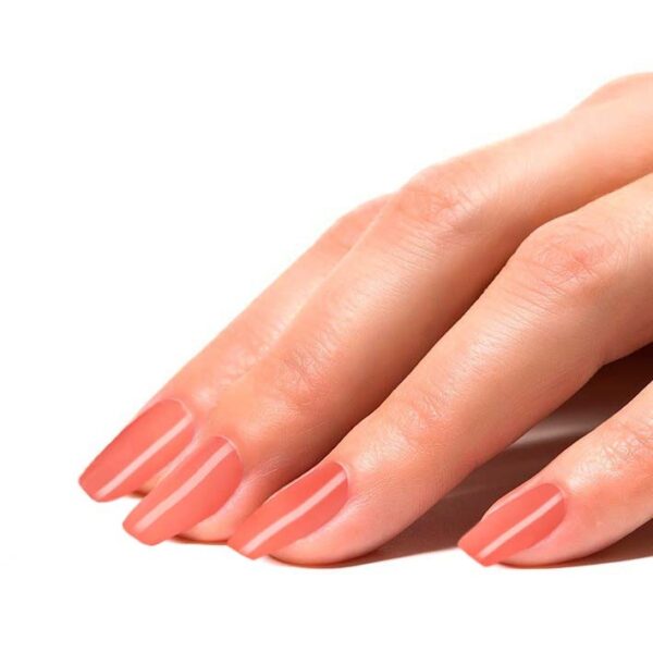 # 304 Eva - Afbeelding 3