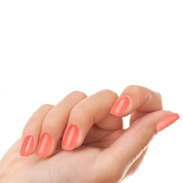 # 304 Eva - Afbeelding 4