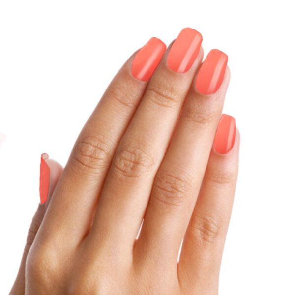 # 304 Eva - Afbeelding 5